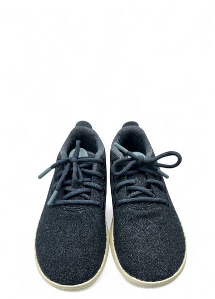 Чоловічі кросівки Allbirds Wool Runner Rain Savanna Night, Розмір 40/41, M8, 25.5 см, Синій НФ-00000334-49 фото